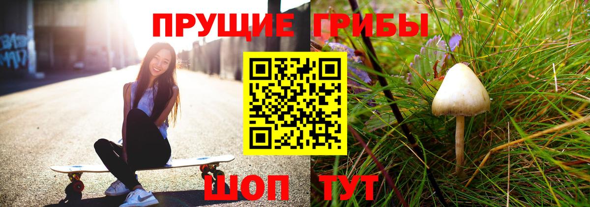 Галлюциногенные грибы Psilocybine cubensis Кызыл