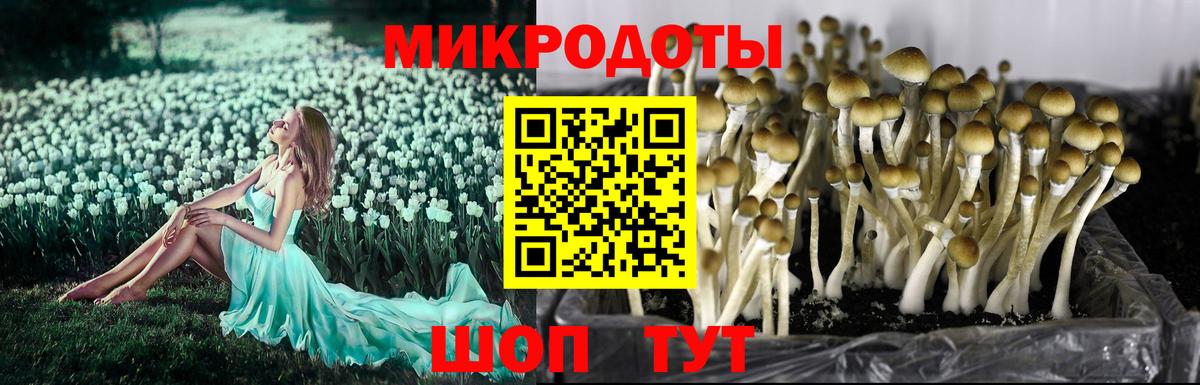 Псилоцибиновые грибы прущие грибы  Вход с VPN  Кызыл 